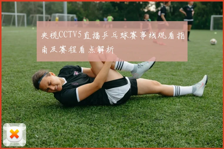 央视CCTV5直播乒乓球赛事线观看指南及赛程看点解析